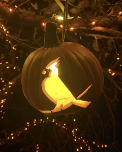 Center School's Halloween Hustle 5k Run/Walk logo