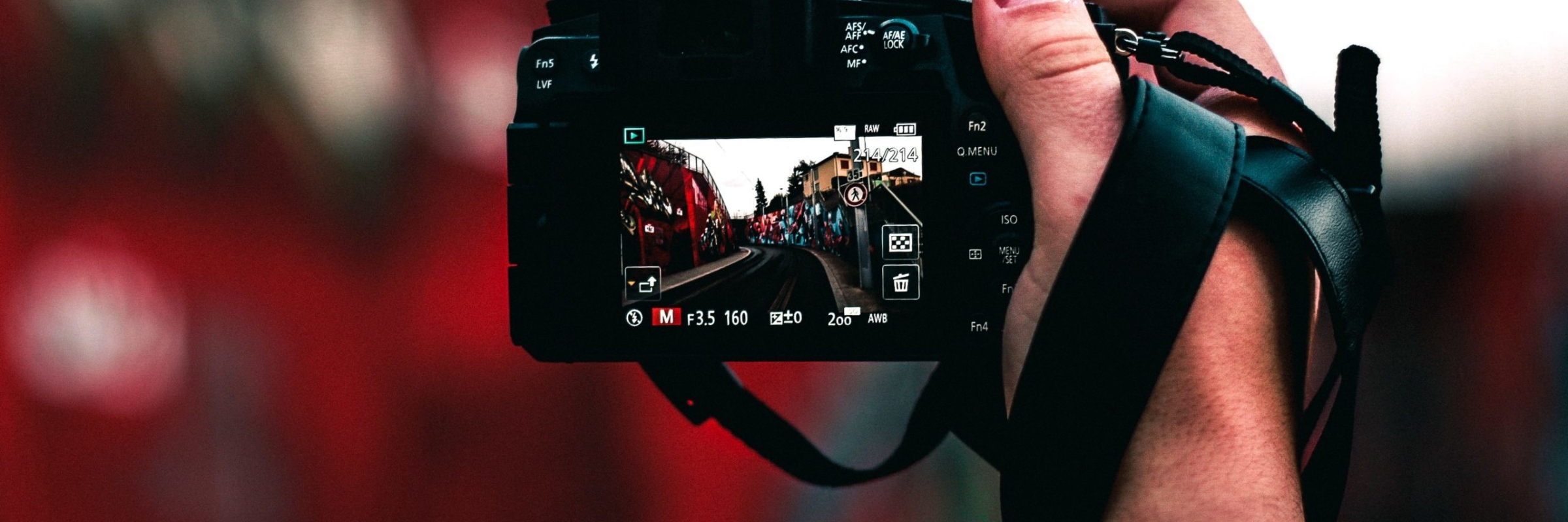 Color Hunting in San Diego