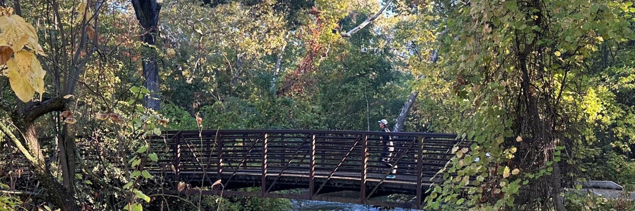 The Cedar Grove Scamper - Presented by Chico Running Club