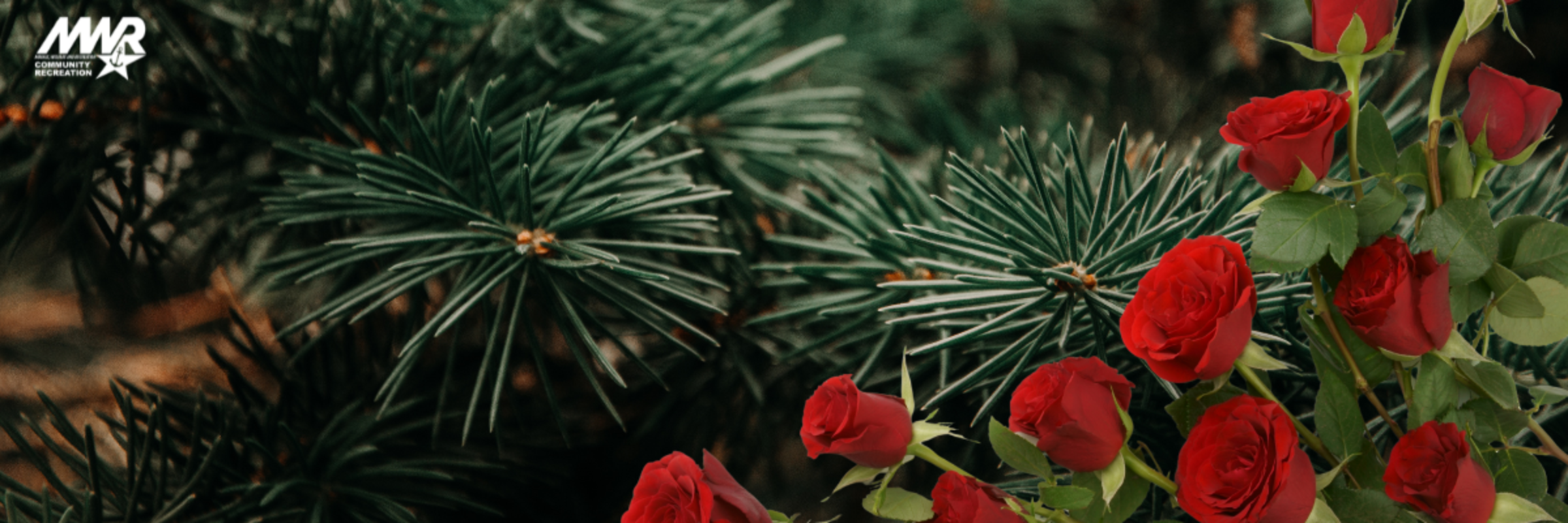 Coastal Holiday Wreath