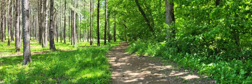 Alabama A&M 5K Trail Race