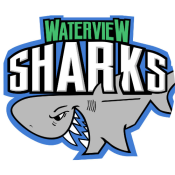 Waterview Charity Event logo