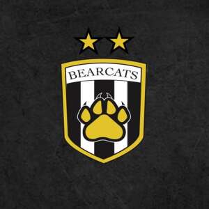 Bentworth Area Youth Soccer Association logo