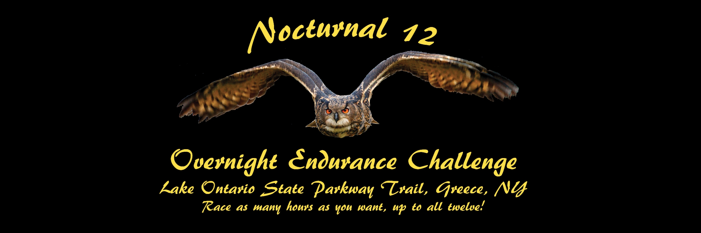 Nocturnal 12
