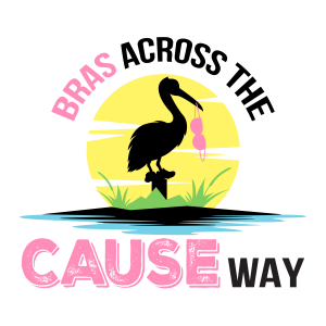 Bras Across the CAUSEway 5k & Festival logo