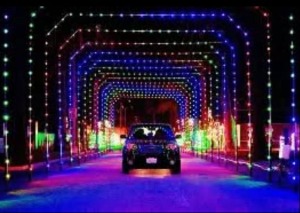 Monroe County Holiday Lights 5k logo