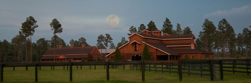 Aiken Trailblazer Halloween Marathon, Half Marathon - 10K - 5K - Kids Fun Run at Stable View