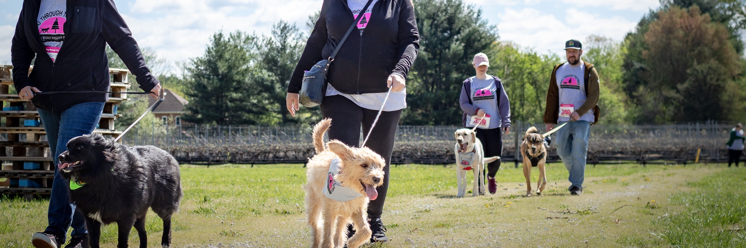 Lucky Paws Animal Assistance Annual “Wag through the Pines” Doggie Walk/Run