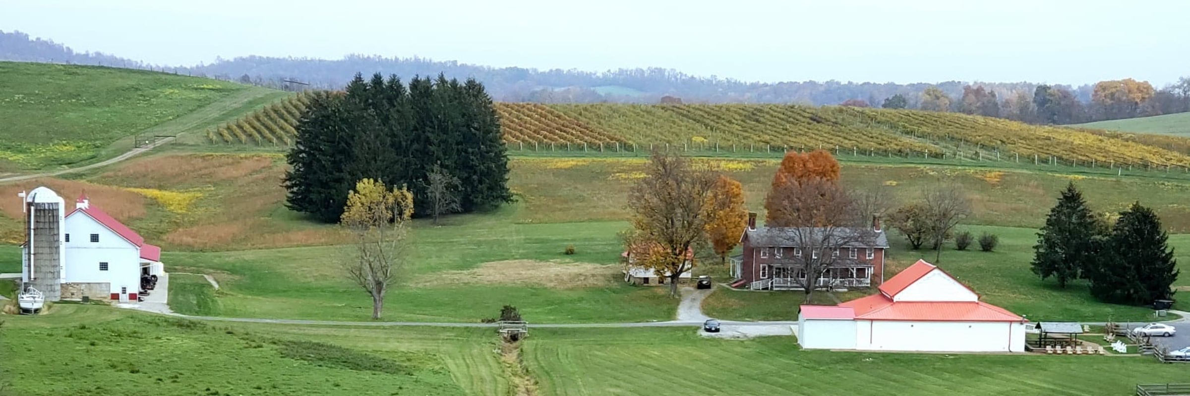 Thistlethwaite Haunted Wine Run 5k