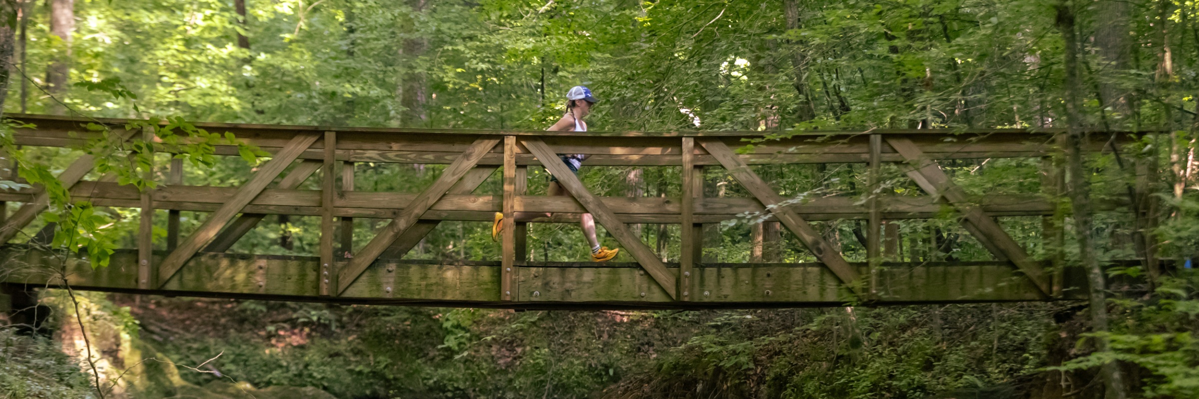 Chicopee Woods WildRUN