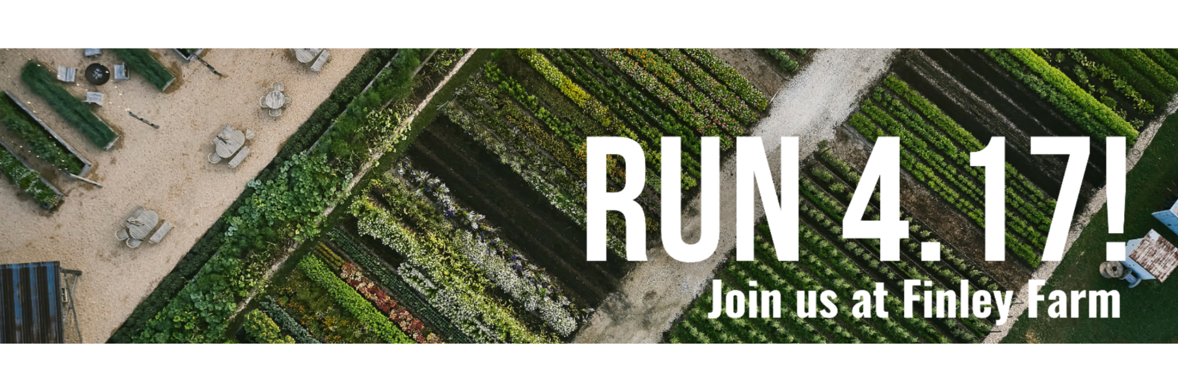 Run Finley Farms