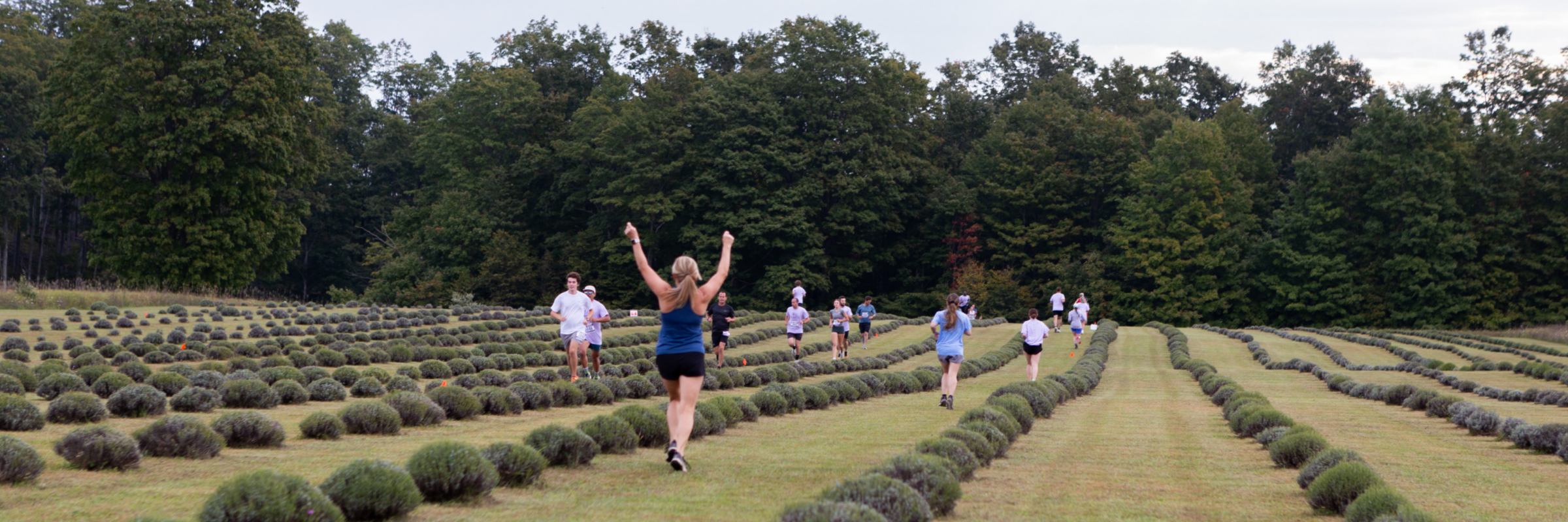 Lavender Hill Run
