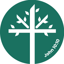 Tree of Life 5K - Race with a Cause logo