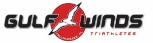 GW Tri OWS #3, Transition and Run logo