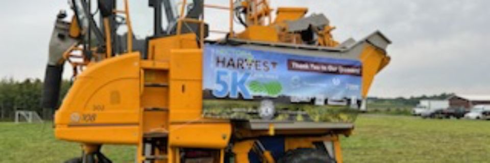 Hector Harvest 5K Walk/Run
