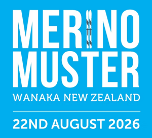 Merino Muster logo