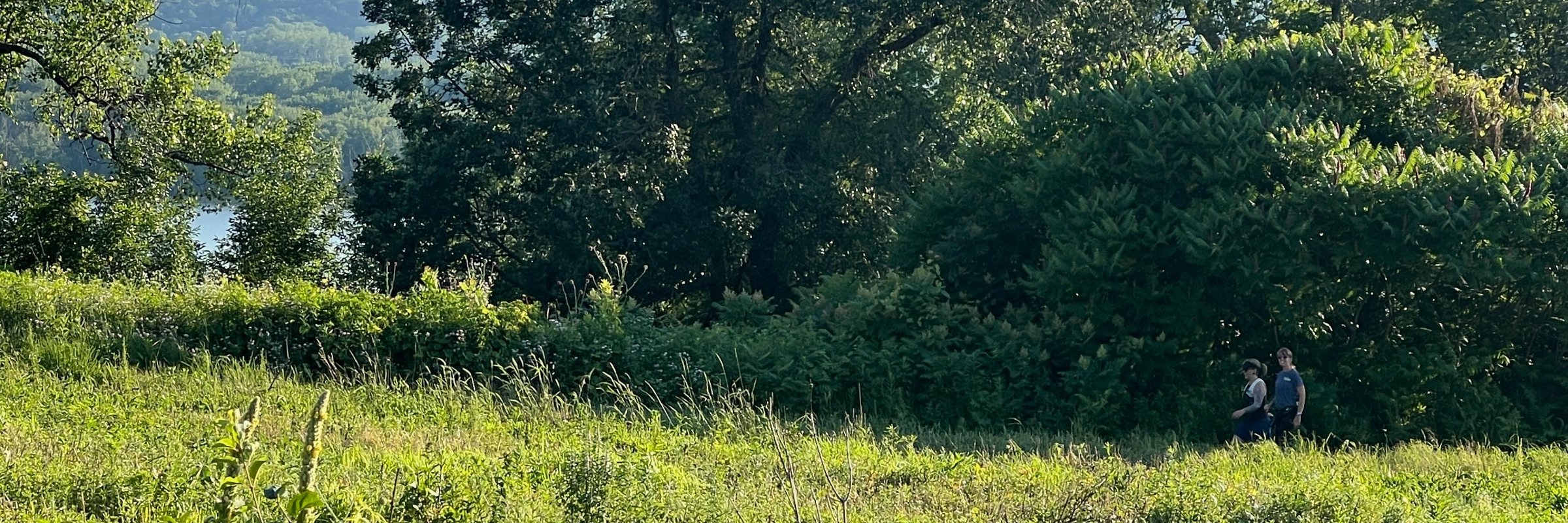 Endurance United Trail Running