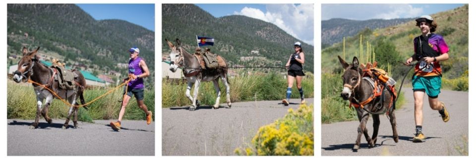 South Fork Alder Ass Race