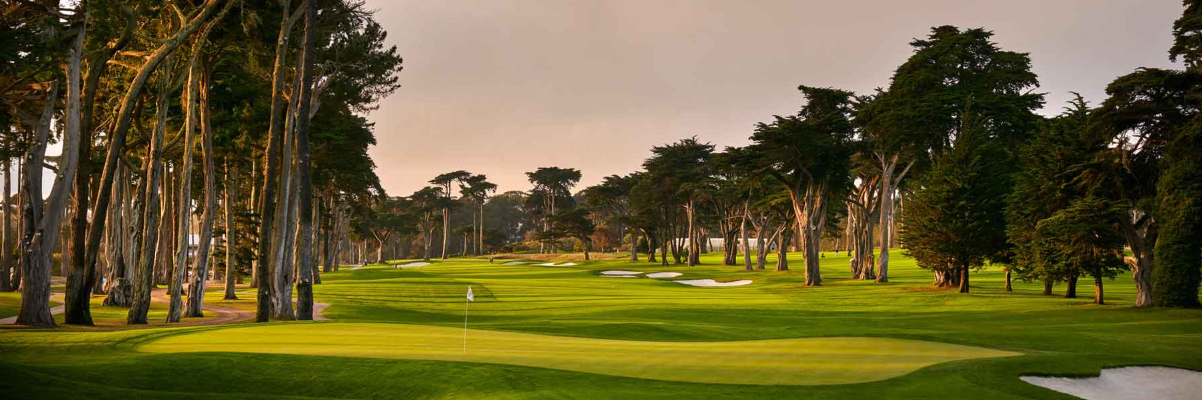 TPC Harding Park