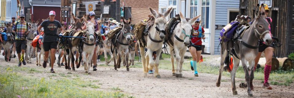 Greenland Open Space Pack Burro Race presented by Double Rainbow Ranch (8 Mile and 3 Mile)