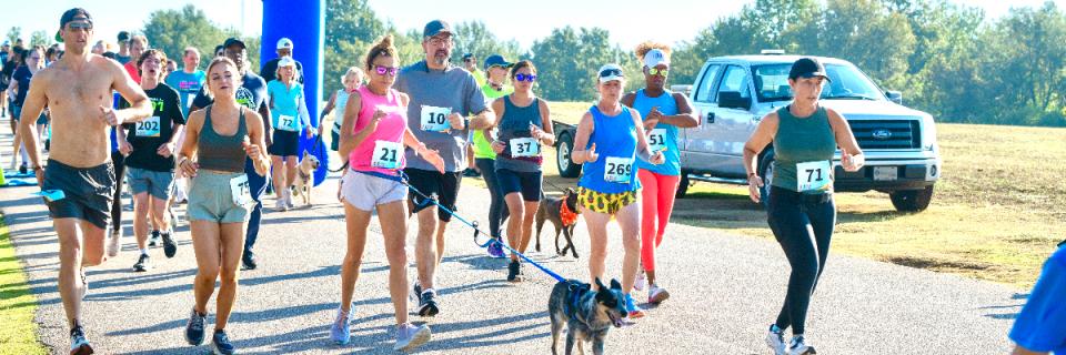 Champion Paws 5K