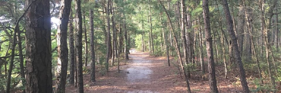 EHT Nature Reserve Turkey Trot 5k & 1 Miler