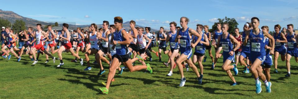 Rogue XC
