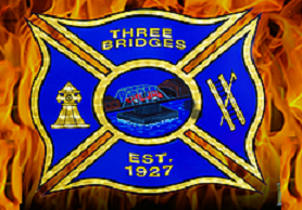 Three Bridges Five Mile Road Race, part of the "LDR Championship Series" logo