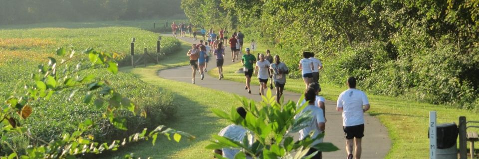 Run for Green