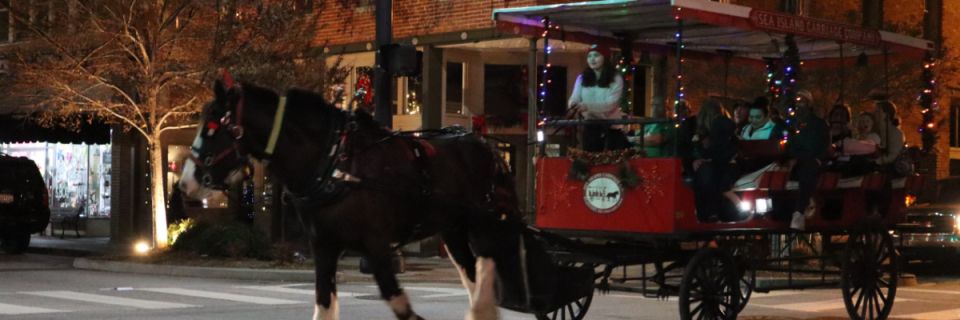 Rudolph Run at Night