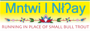 Mntwi l Nłʔay Virtual Half Marathon logo