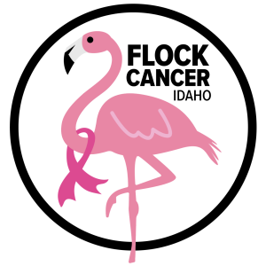 Flock Cancer Street Stroll logo