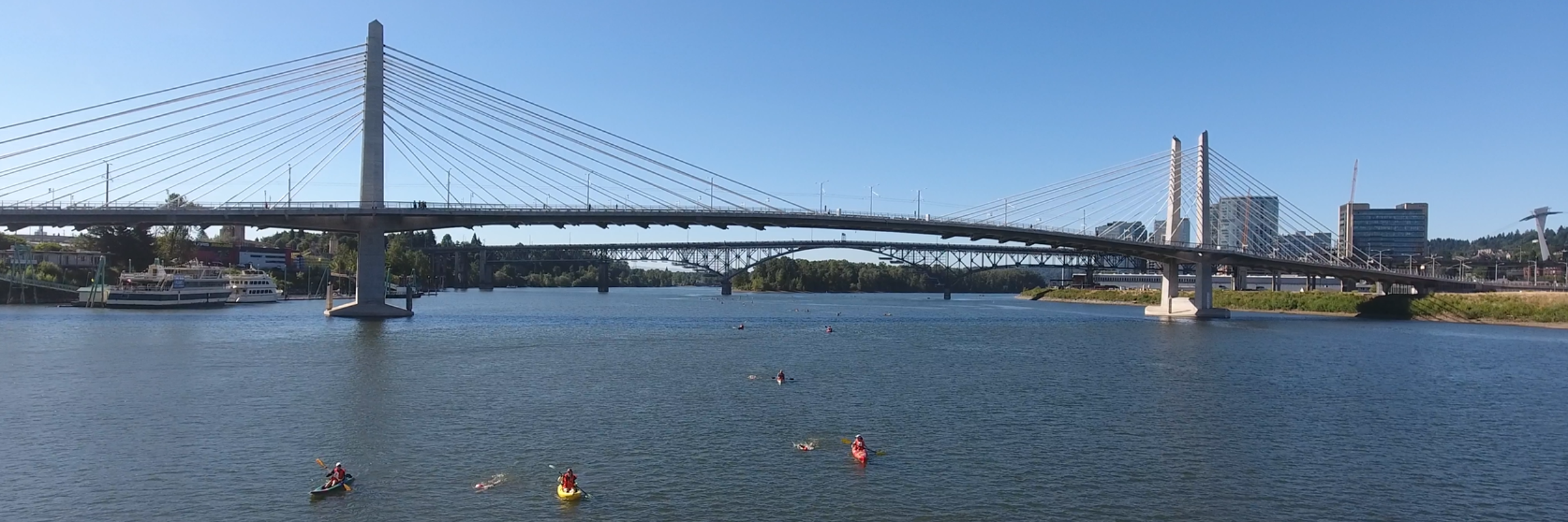 Portland Bridge Swim