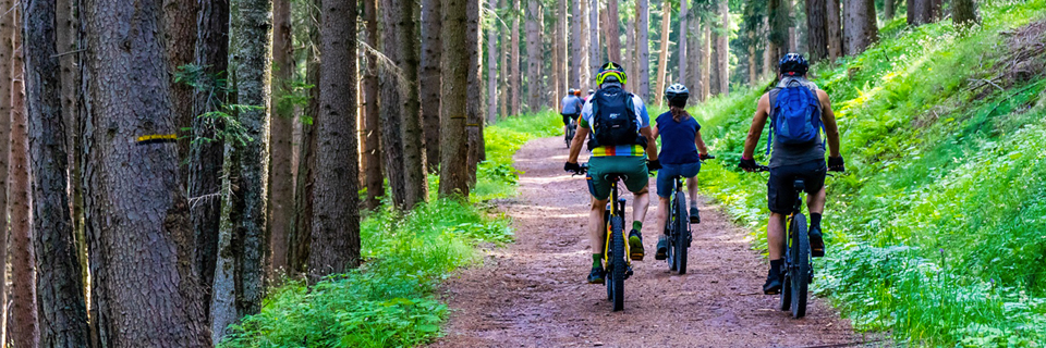 MCMBA Women's MTB Choose Your Interest Morning Clinics at Legacy Park in Northville Twp (NEW Added full day clinic)