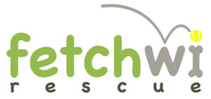 Fetch 5K logo