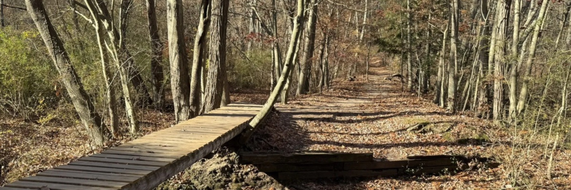 Nassau Suffolk Trail Marathon & 15 Miler