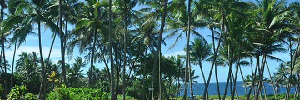 Holo Kahakai 5K, 10K or 1/2 Marathon Fun Run