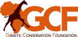 St. Louis AAZK World Giraffe Day 5K VIRTUAL Race logo