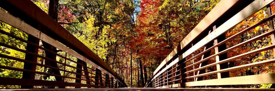S'more Fun Trail Run