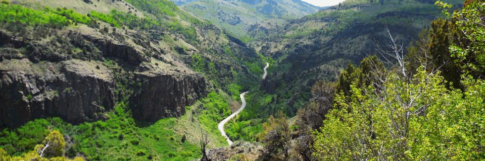 Outlaw Trail Ultra Half Marathon