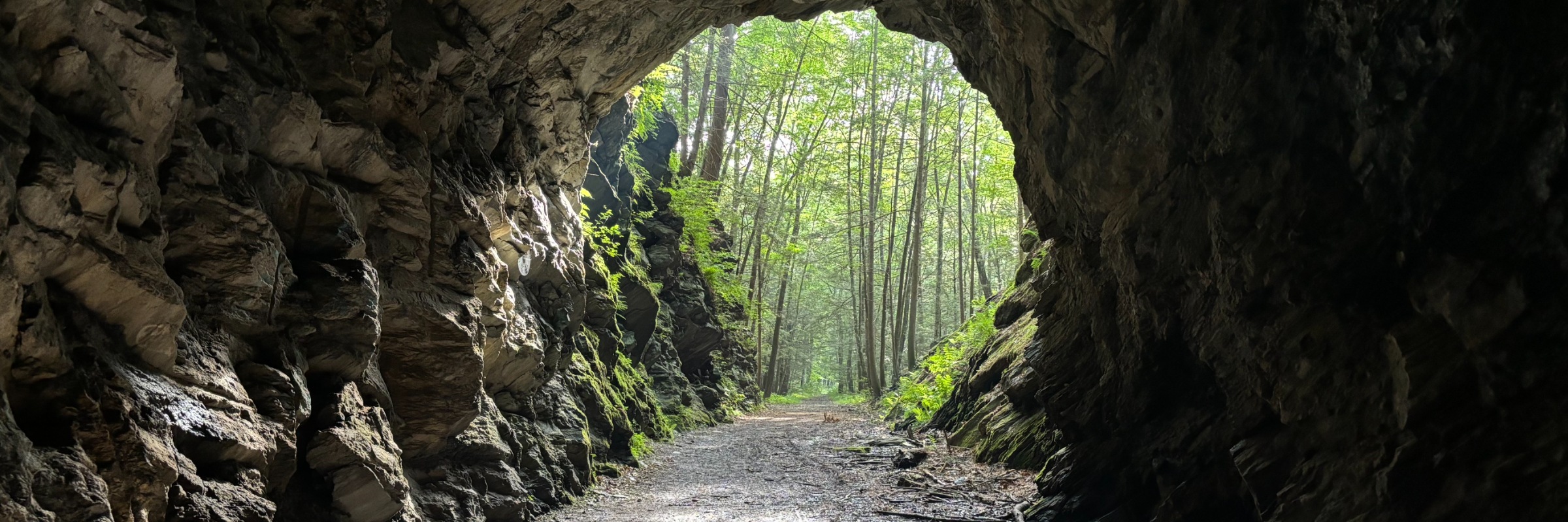 Spring Into Steep Rock Hiking Challenge