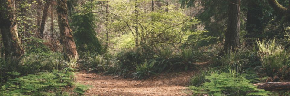 Defiance 50K / 30K / 15K