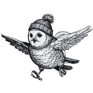 Snowy Owl Trail Race logo