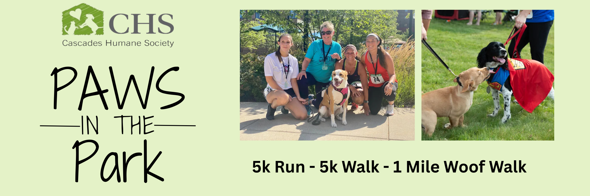 Paws in the Park 5k Run/Walk