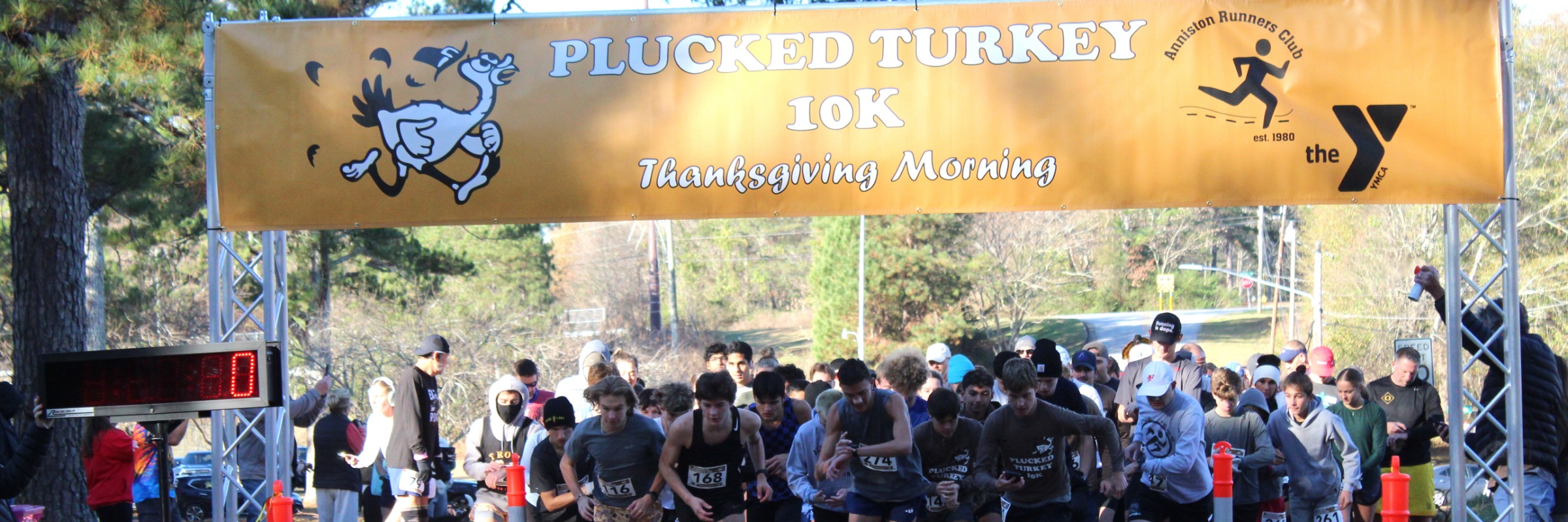 Plucked Turkey 10k
