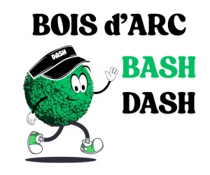 Bash Dash logo