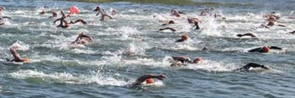 CEDAR ISLAND 5K SWIM