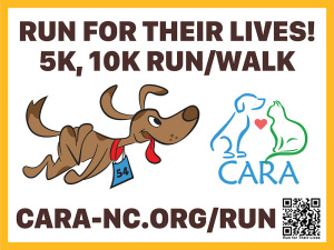 Cara Run For Their Lives! logo