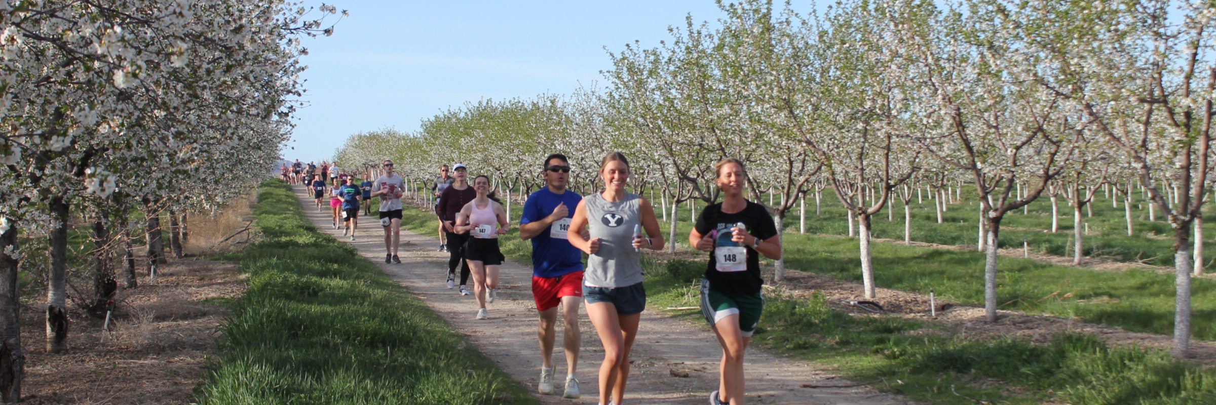 Blossom Run 10K, 5K, 1 Mile