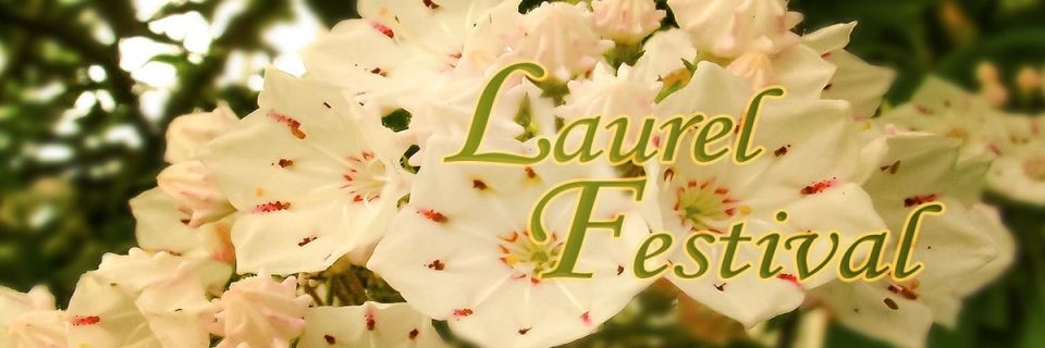 Laurel Festival 10k Foot Race